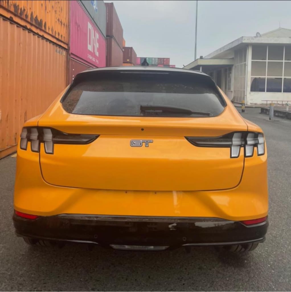 xe-dien-ford-mustang-mach-e-dau-tien-ve-viet-nam-2